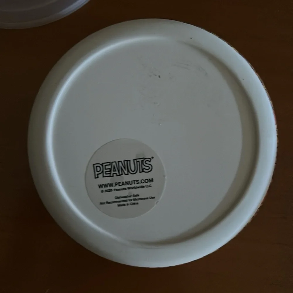 Peanuts Thanksgiving Themed Container